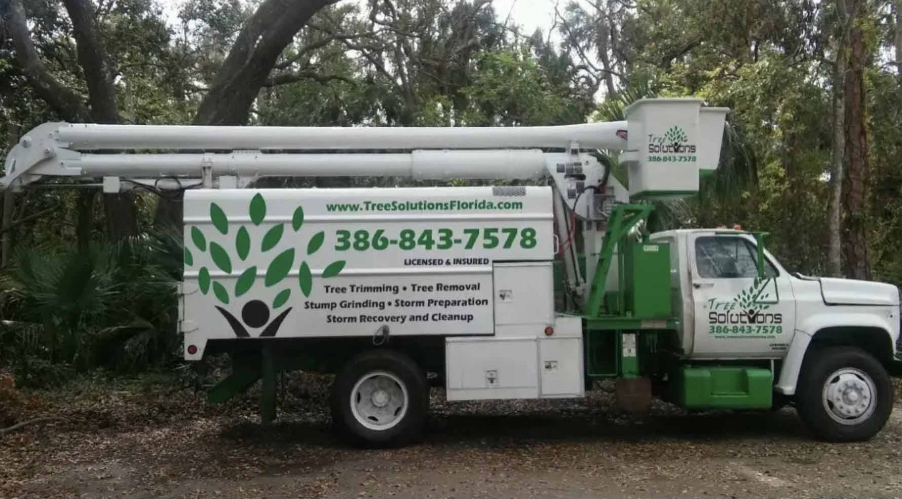 Tree Services Daytona Beach FL Tree Company Tree Solutions