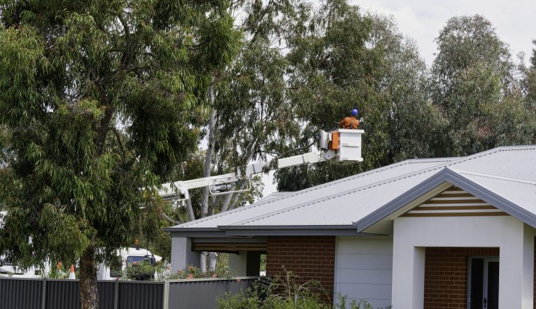 Yarrawonga, Victoria, Australia - 14 October 2024: Utility worker cutting tree branches over residential property in Yarrawonga Australia