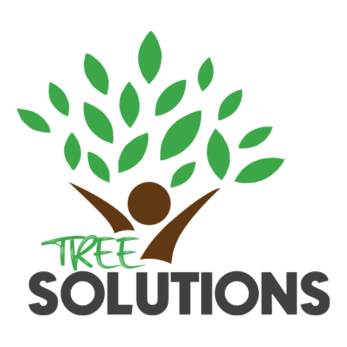 Tree Solutions Florida main brand logo