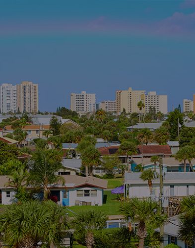 tree-solutions-daytona-service-plans2 Tree Solutions safety and beautification plans banner image